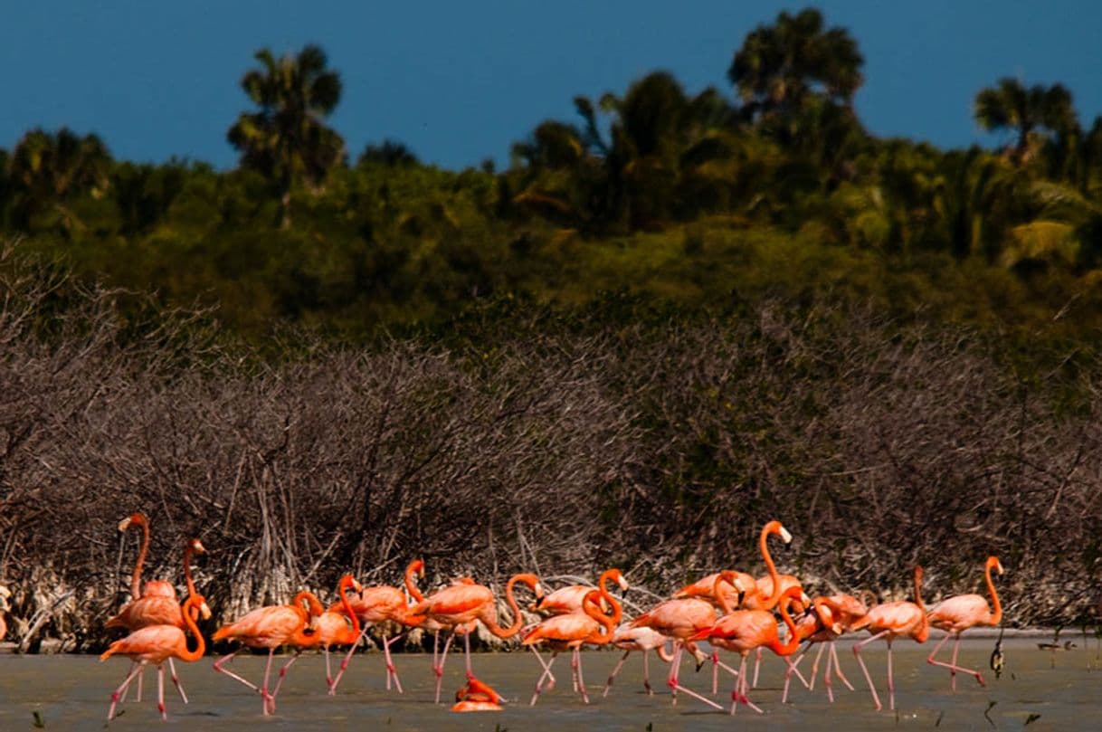 Place Parque Nacional Jaragua