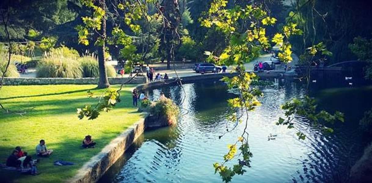 Lugar Jardín Botánico de Viña del Mar