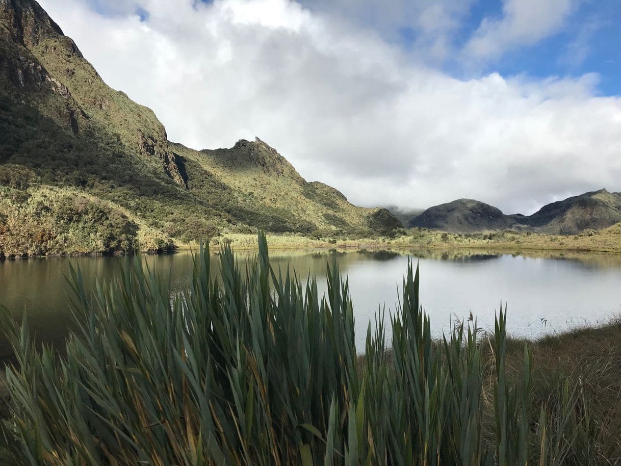 Place Cayambe Coca Ecological Reserve