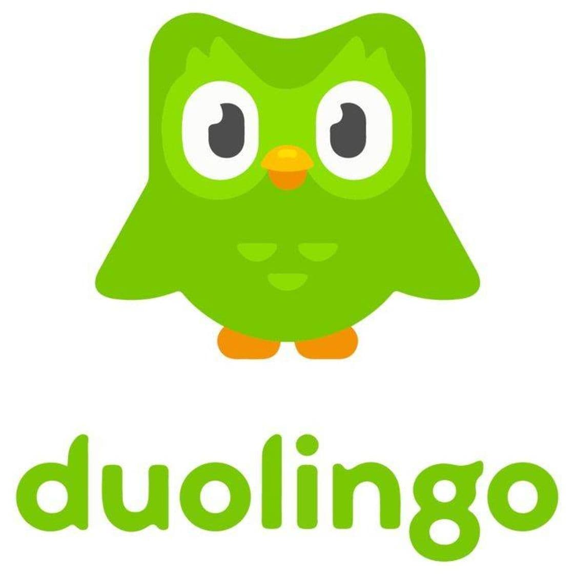 Moda Duolingo💚