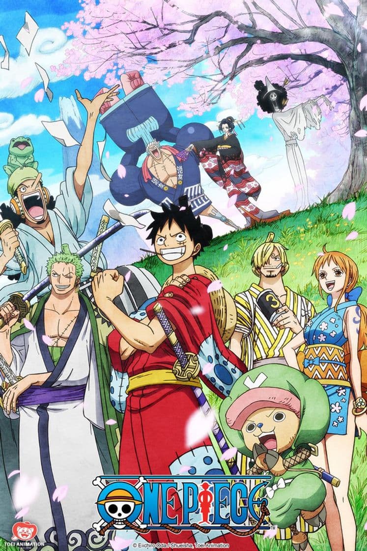 Serie One piece 