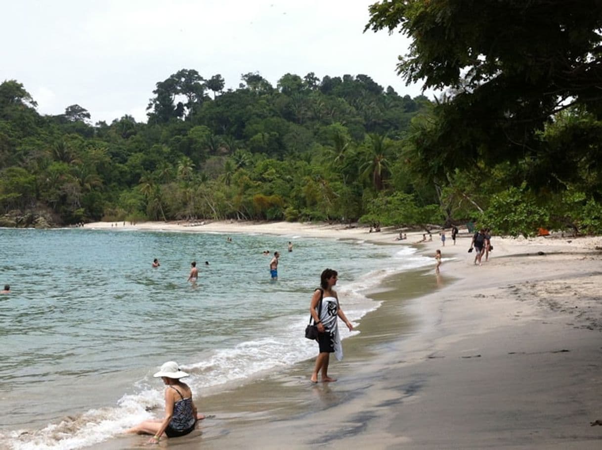 Lugar Manuel Antonio