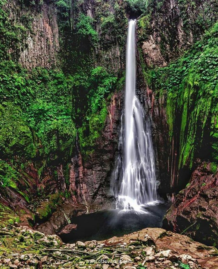 Place Catarata del Toro