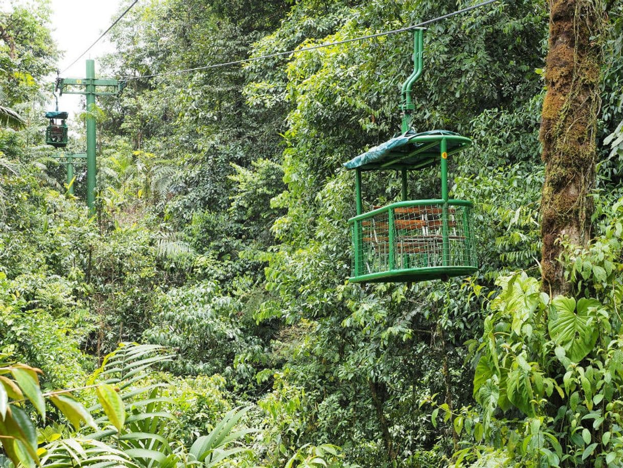 Lugar Parque Nacional Braulio Carrillo