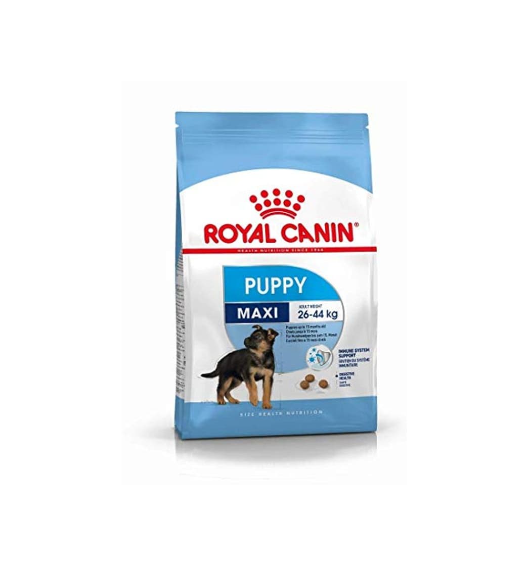 Producto Royal Canin Alimento para Perros Maxi Puppy- 15 kg