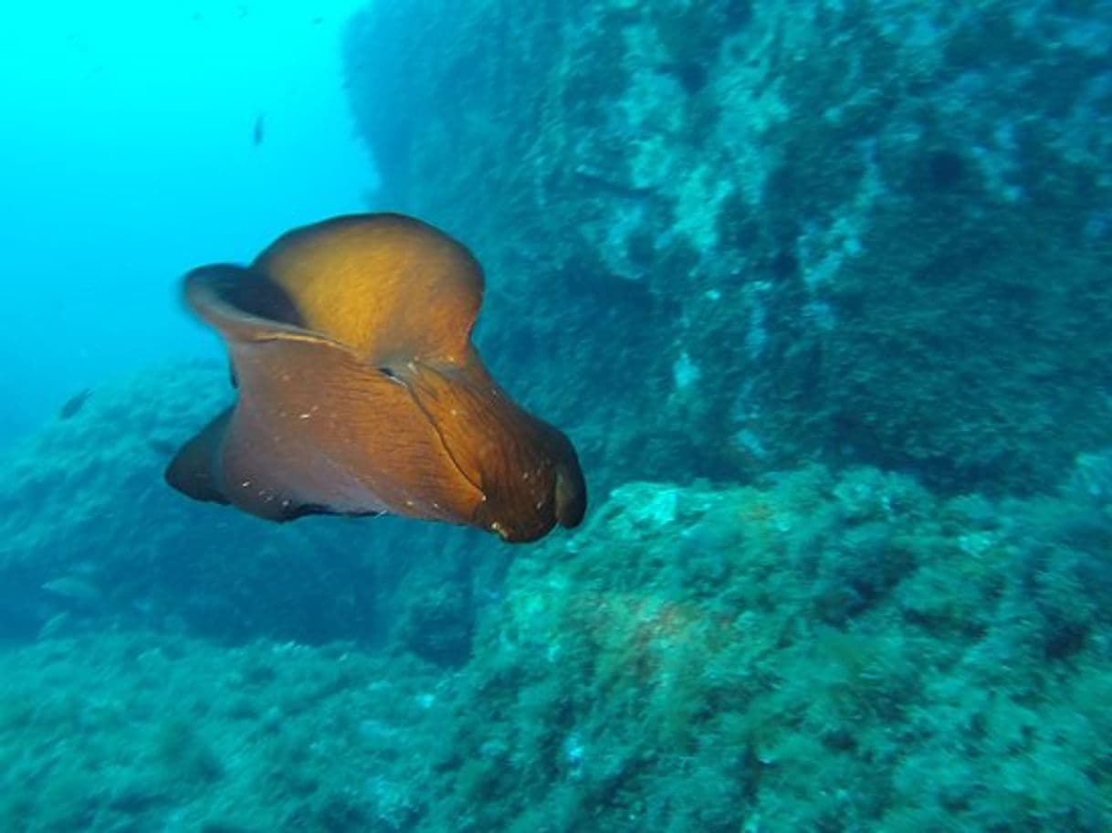 Lugar Diving Portlligat Cadaqués