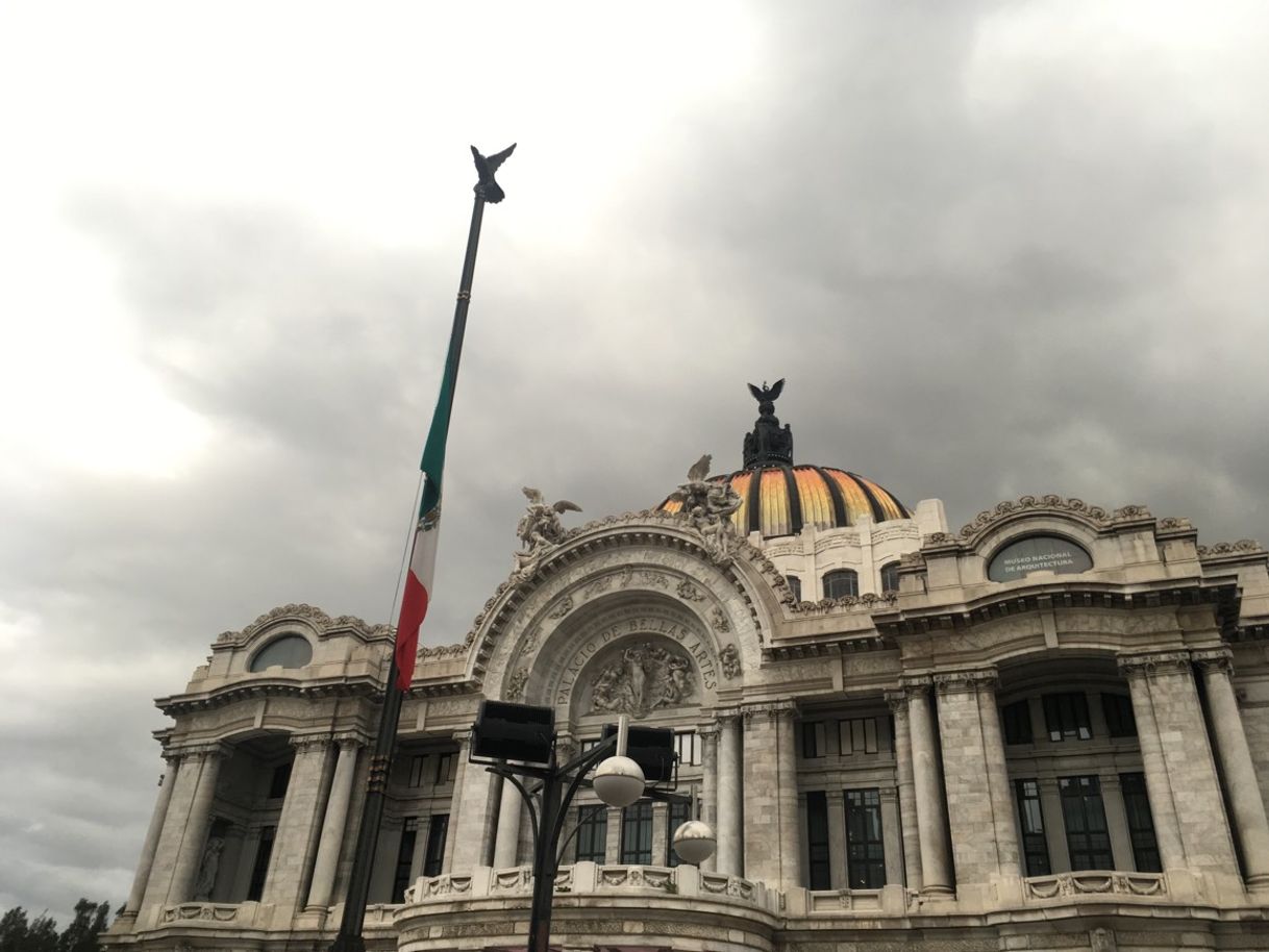 Lugar Bellas Artes