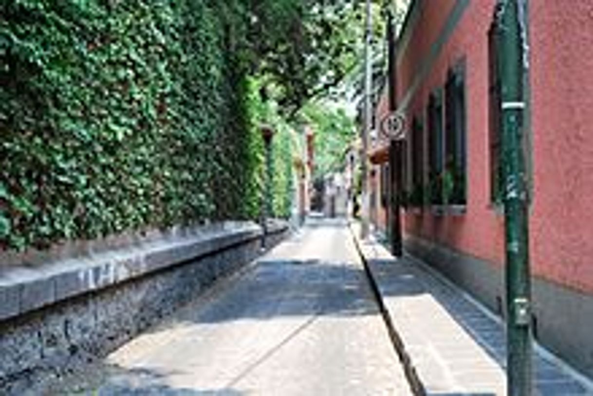 Restaurantes Coyoacán