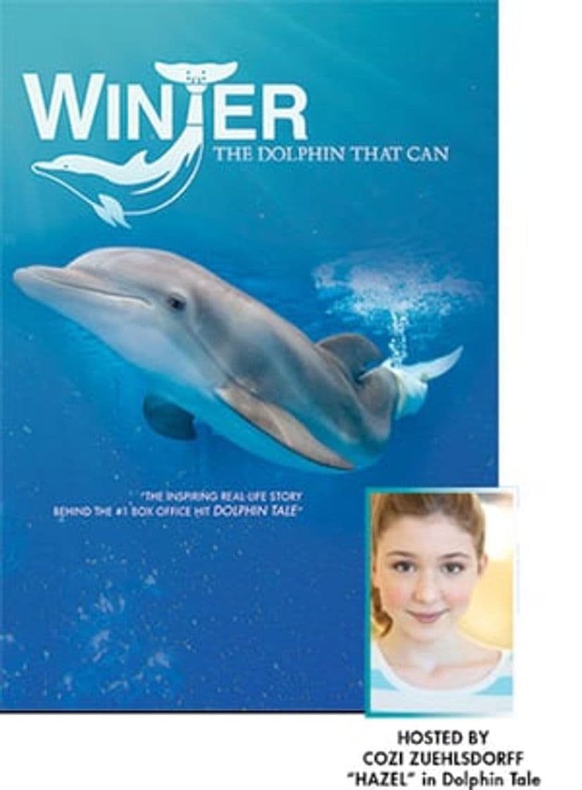 Movie Winter, the Dolphin that Can