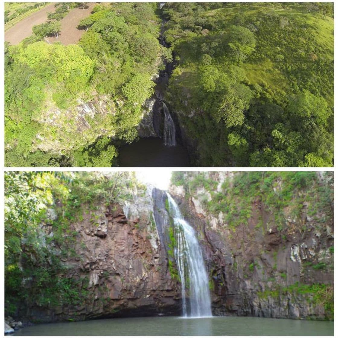 Lugar Tisey Estanzuela Natural Reserve