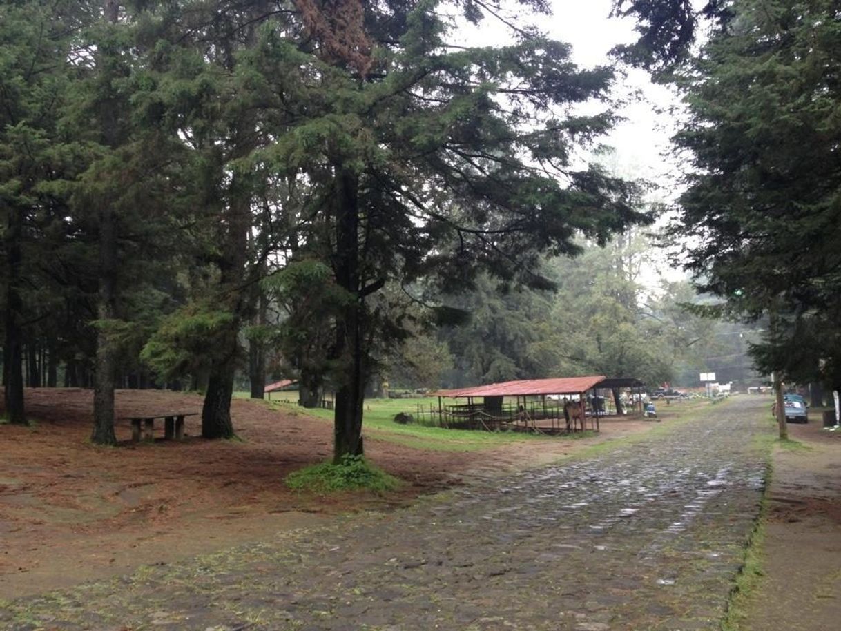 Place Parque Los Columpios