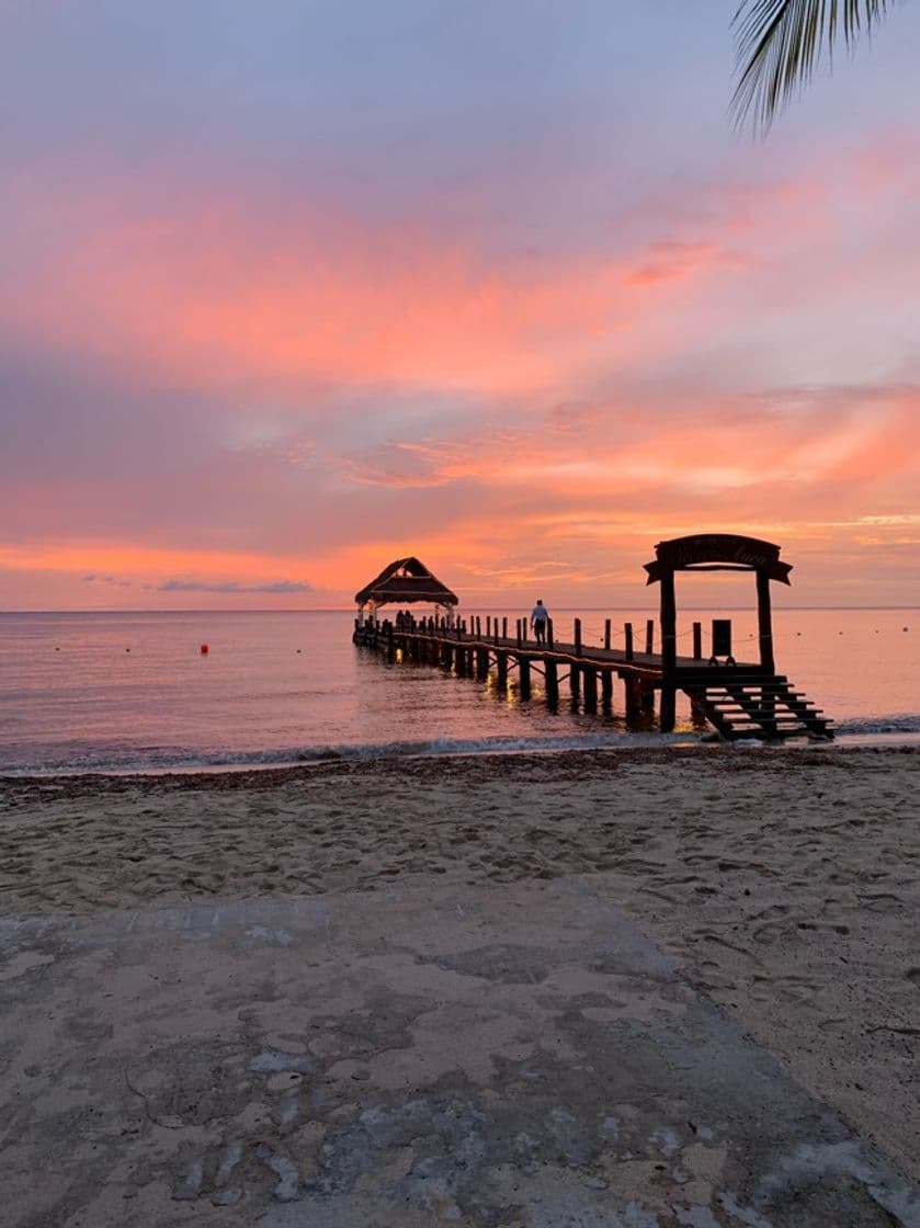 Lugar Secrets Aura Cozumel