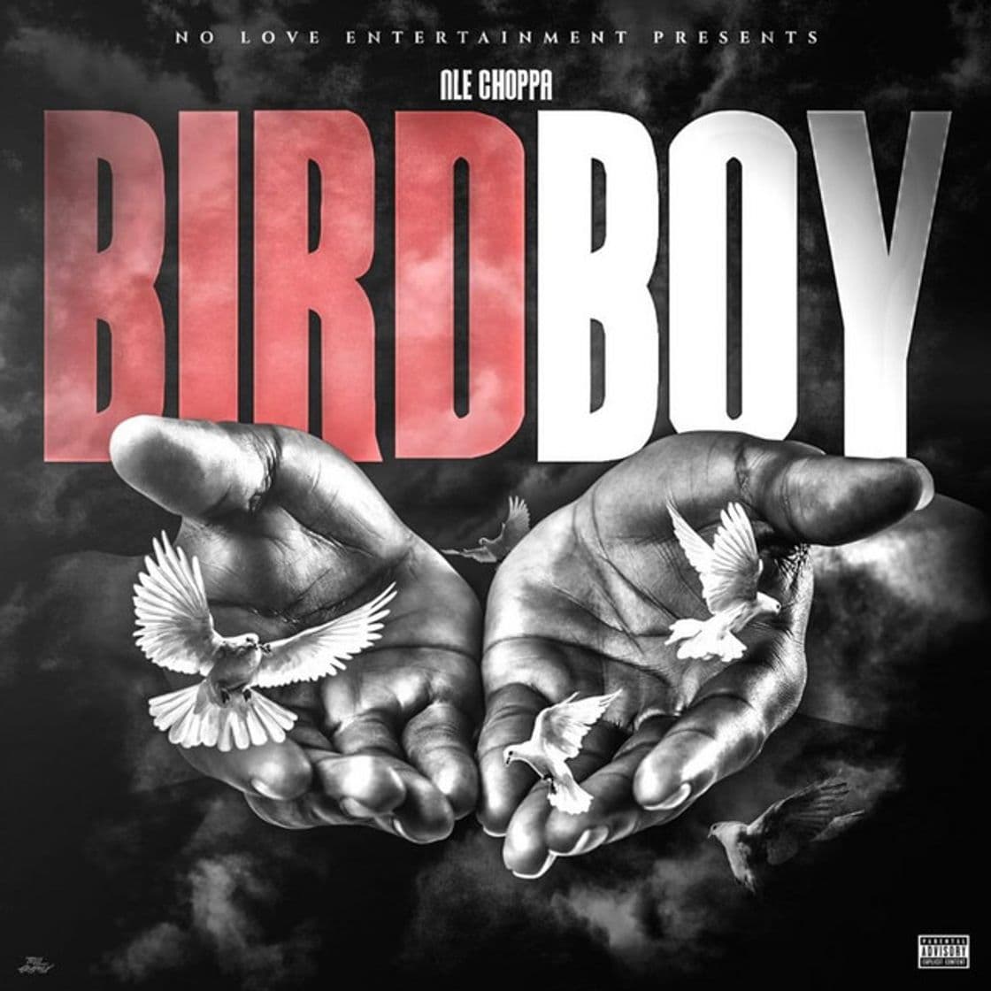 Canción BIRDBOY