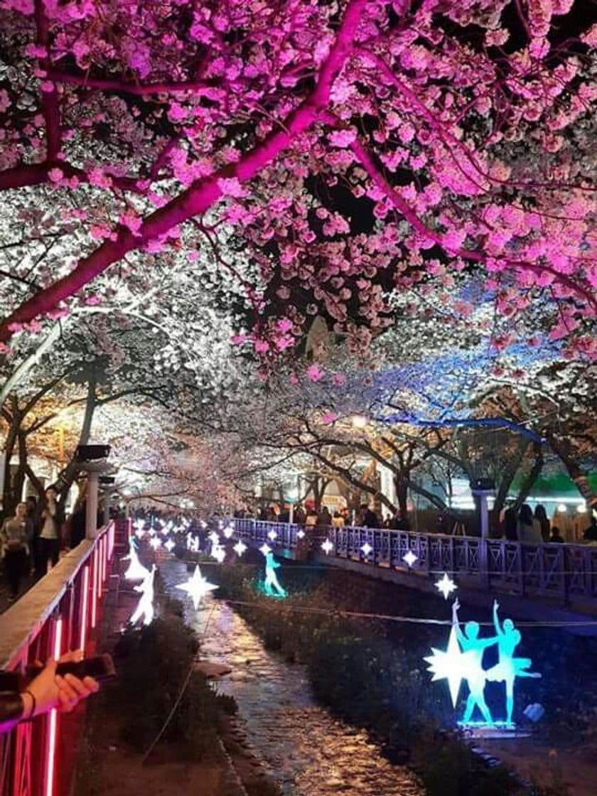 Place Corea del Sur