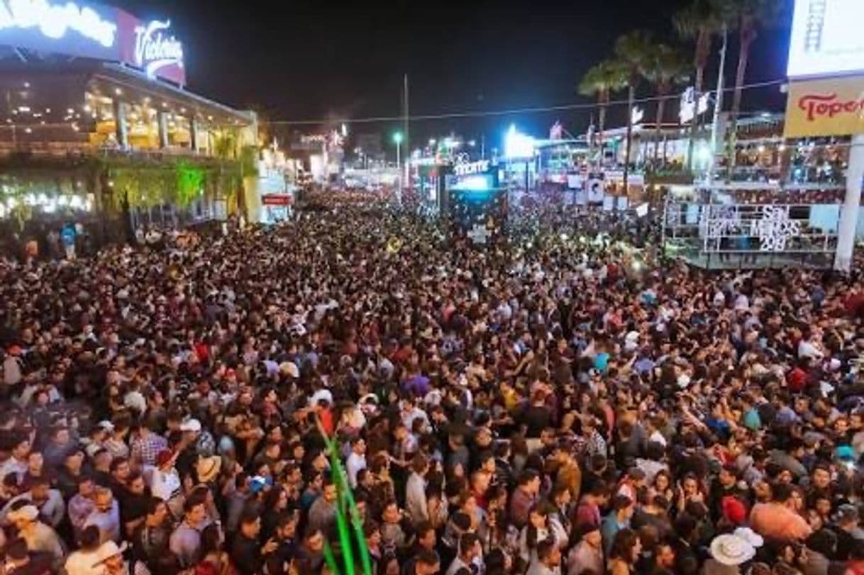 Lugar Paseo De La Feria