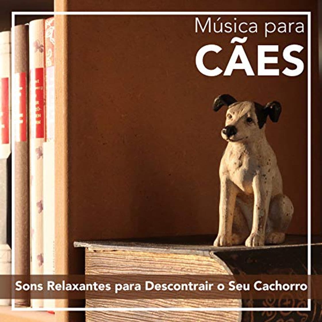 Product Música para Cães