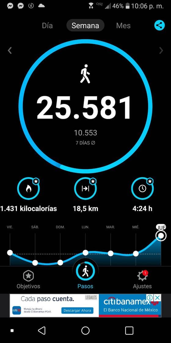 App StepsApp Pedometer