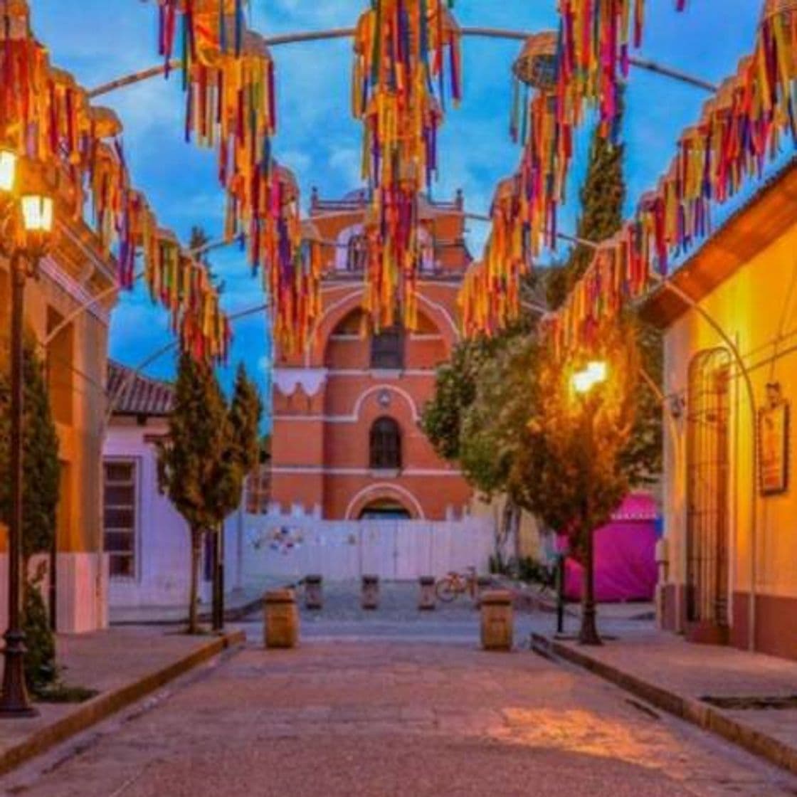 Place San Cristóbal de las Casas