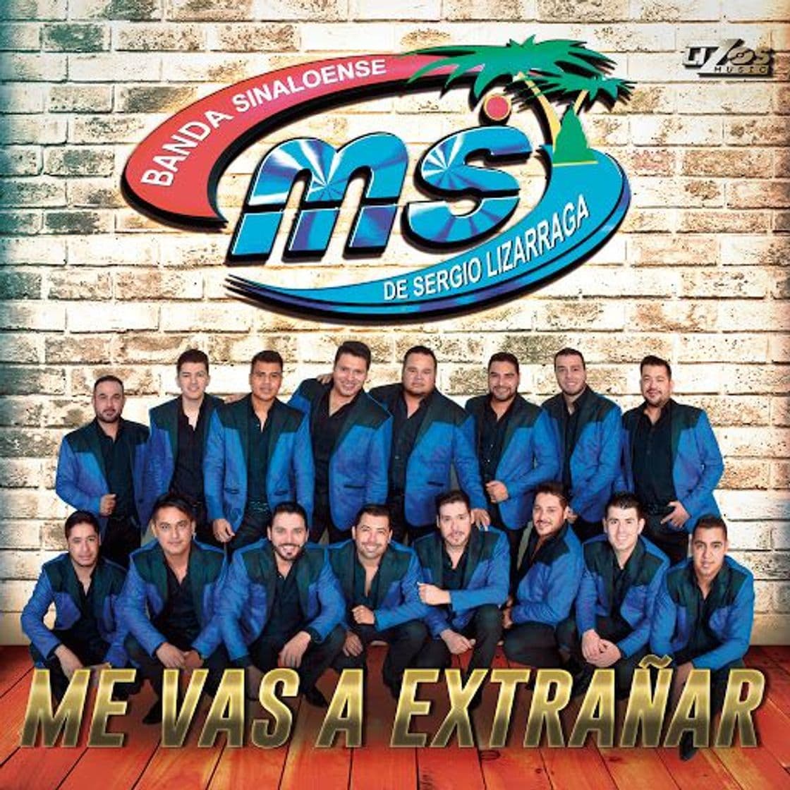 Canción Me Vas a Extrañar