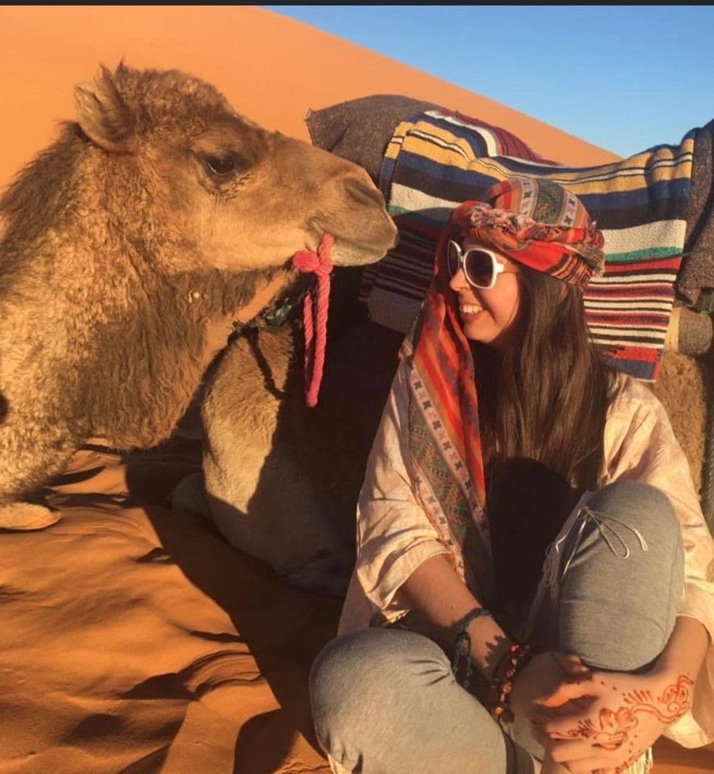 Lugar Paseo en dromedario por el palmeral de Marrakech