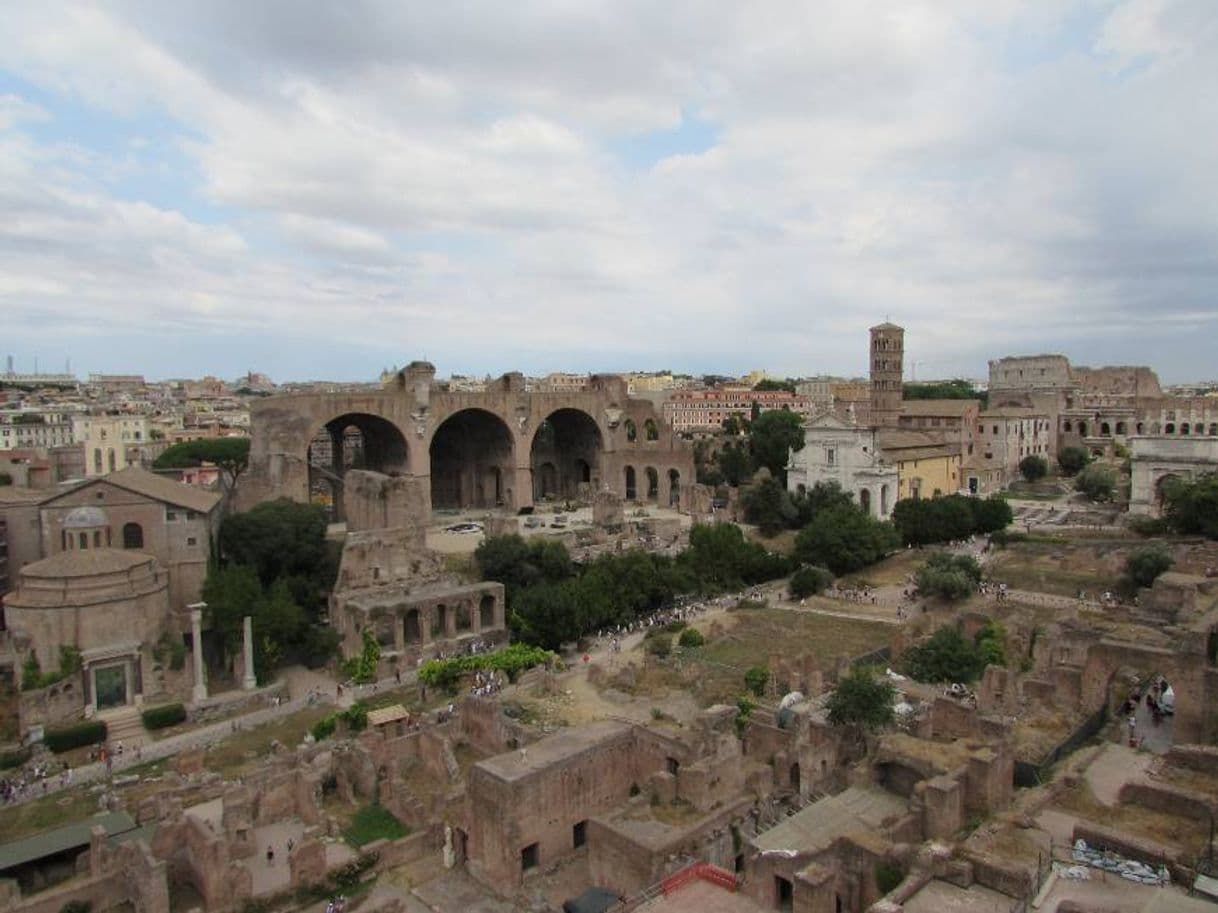 Moda Foro Romano - Parque arqueológico del Coliseo