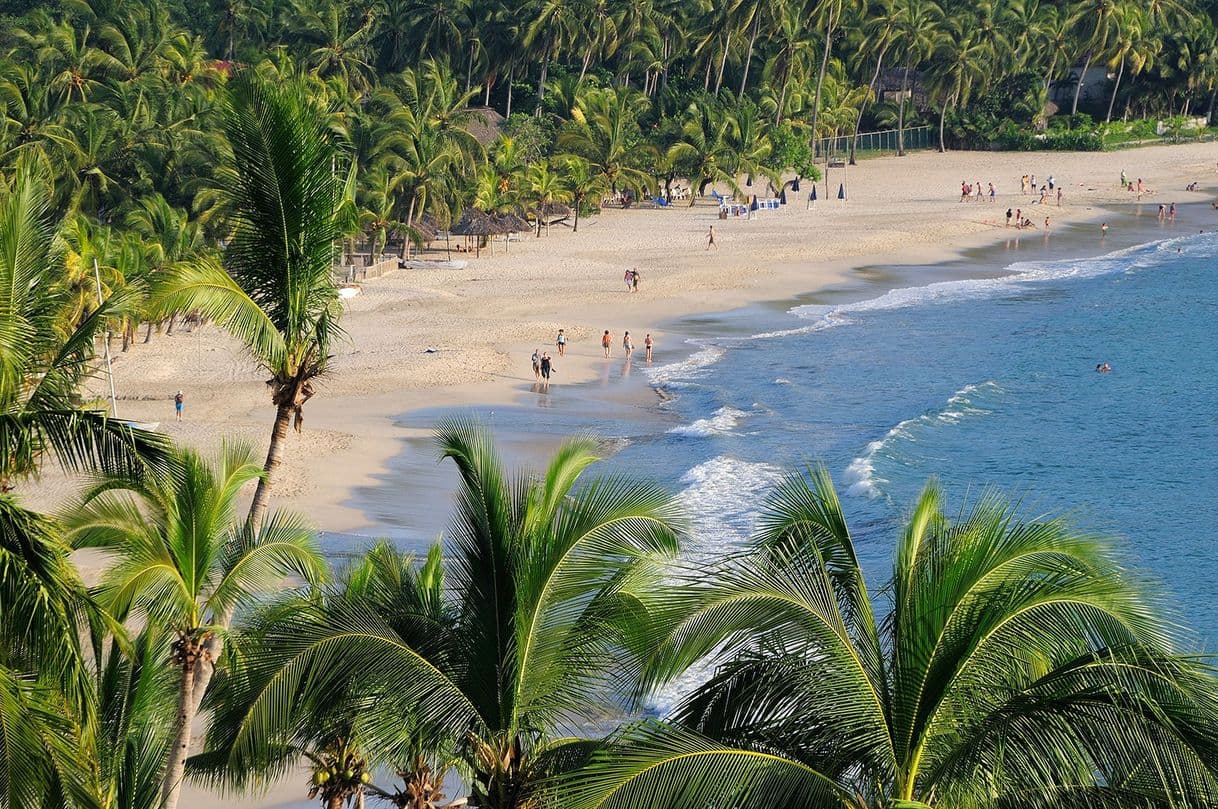 Place Ixtapa-Zihuatanejo