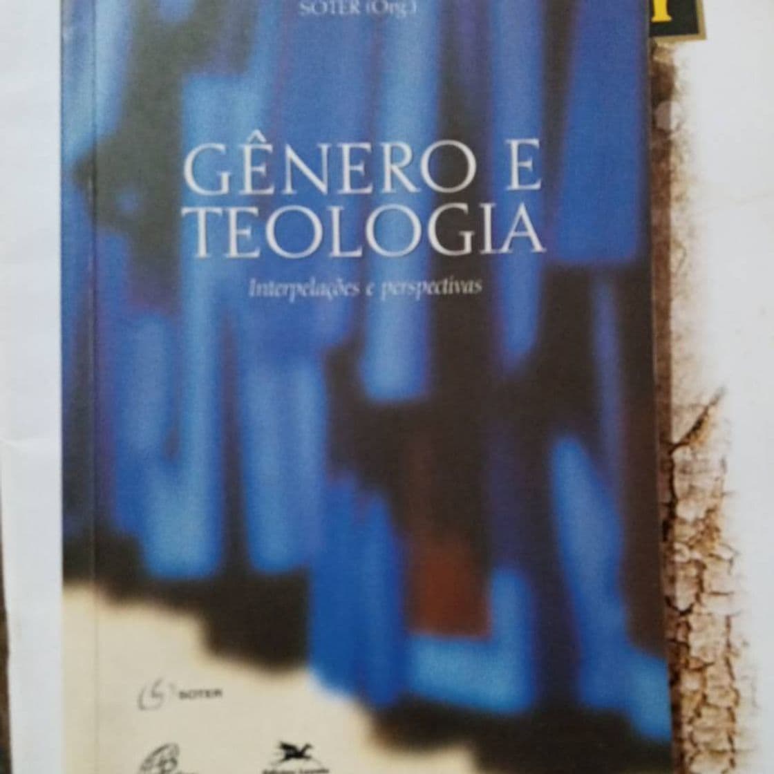 Libro Teologia e gênero