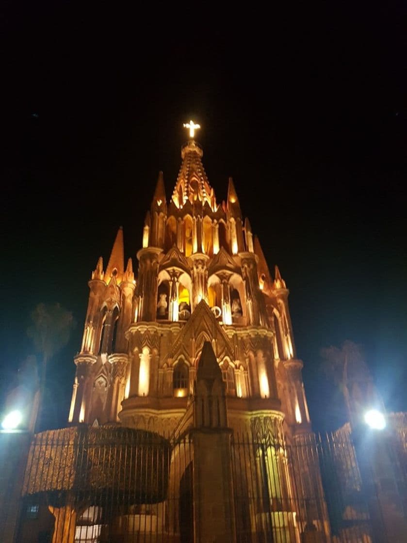 Place San Miguel de Allende