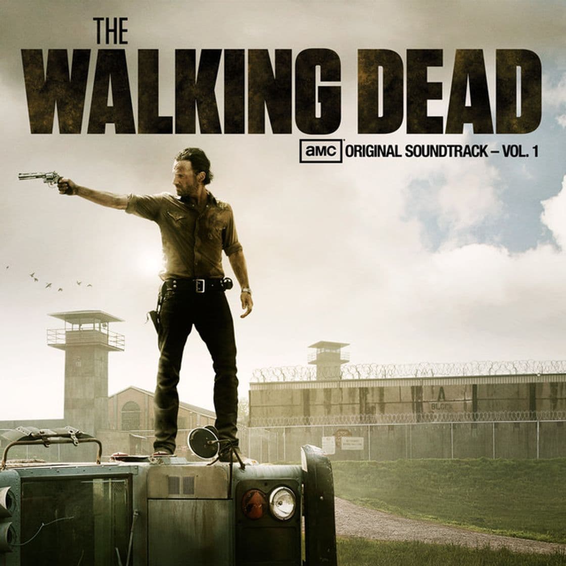 Music Lead Me Home - The Walking Dead Soundtrack