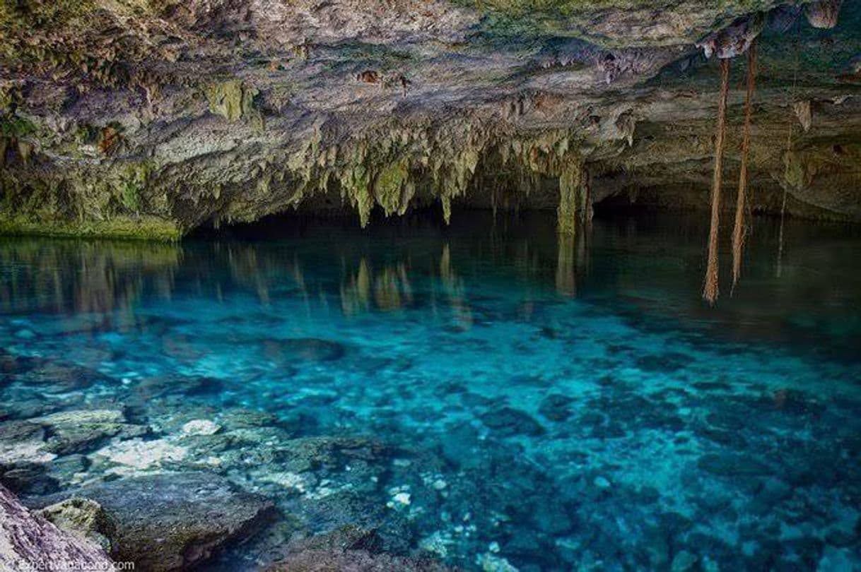 Place Cenote Dos Ojos