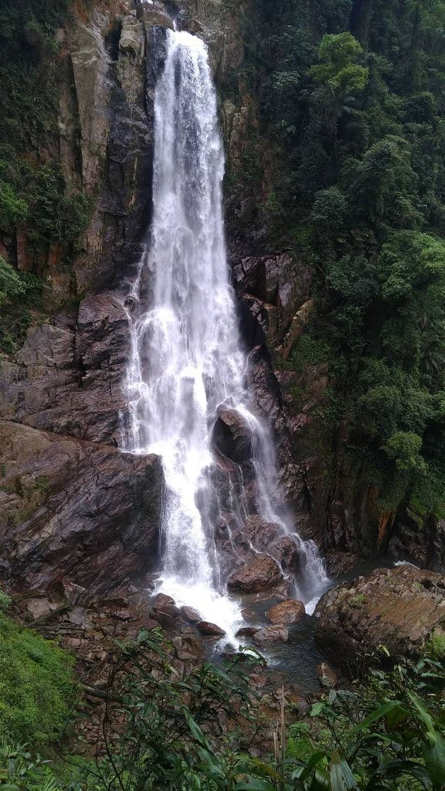 Lugar Cachoeira Véu Da Noiva - Parque Estadual Do Pereque, Cubatão