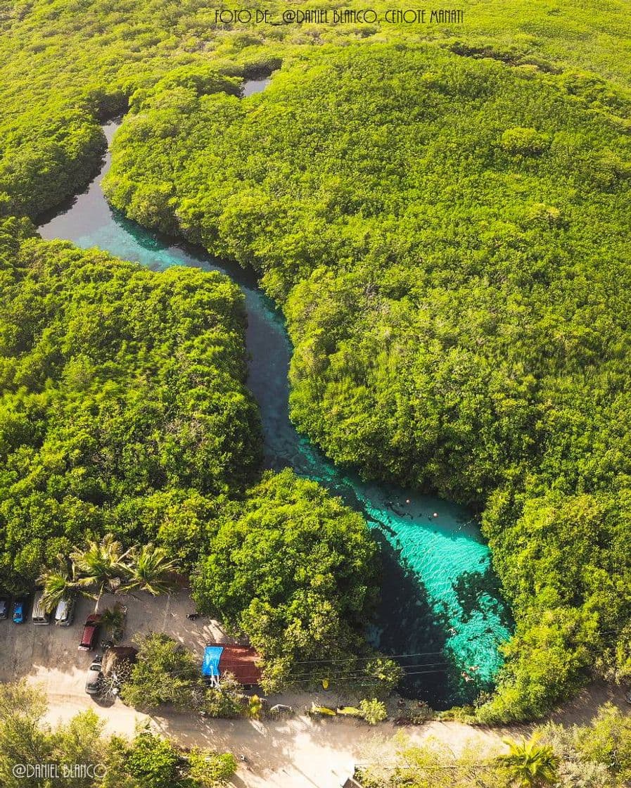 Restaurants Cenote Manatí