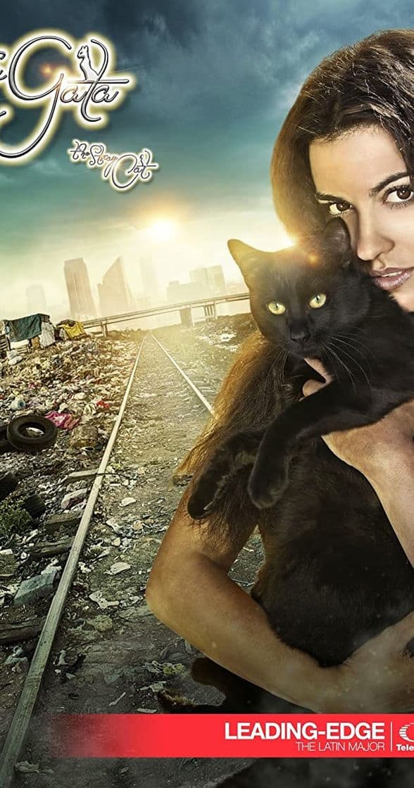 Serie The Stray Cat