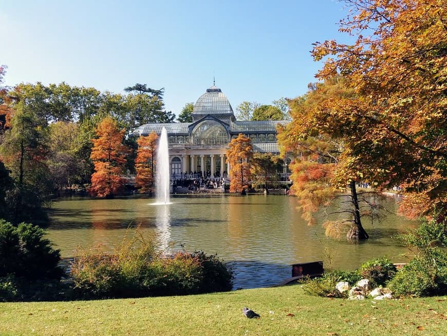 Place El Retiro Madrid