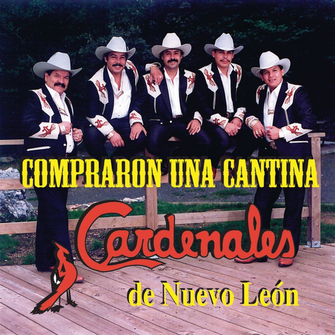 Canción Compré Una Cantina