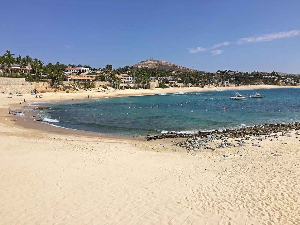 Place Playa Palmilla