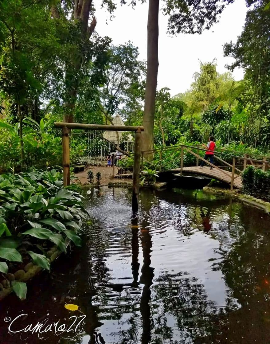 Lugar Jardín Botánico La Laguna