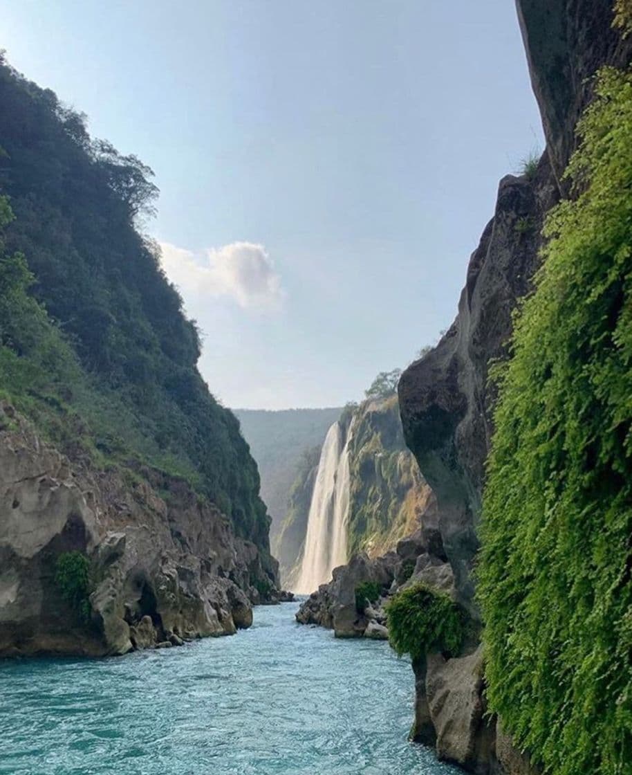 Lugar Huasteca Potosina