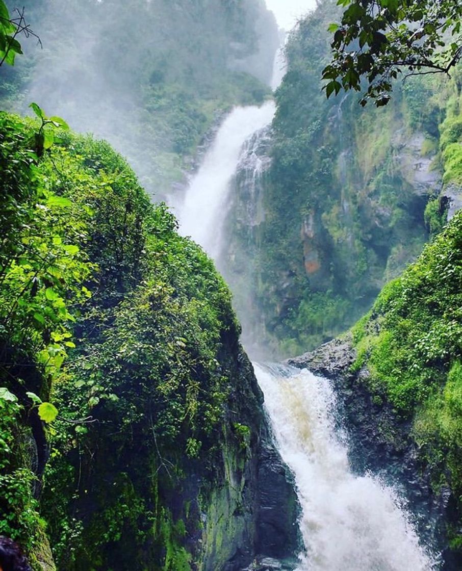 Lugar Cascadas Tuliman