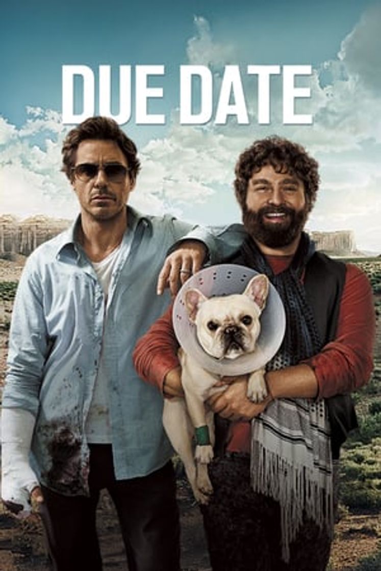 Película Due Date