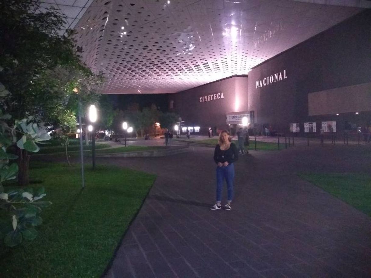 Place Cineteca Nacional de México