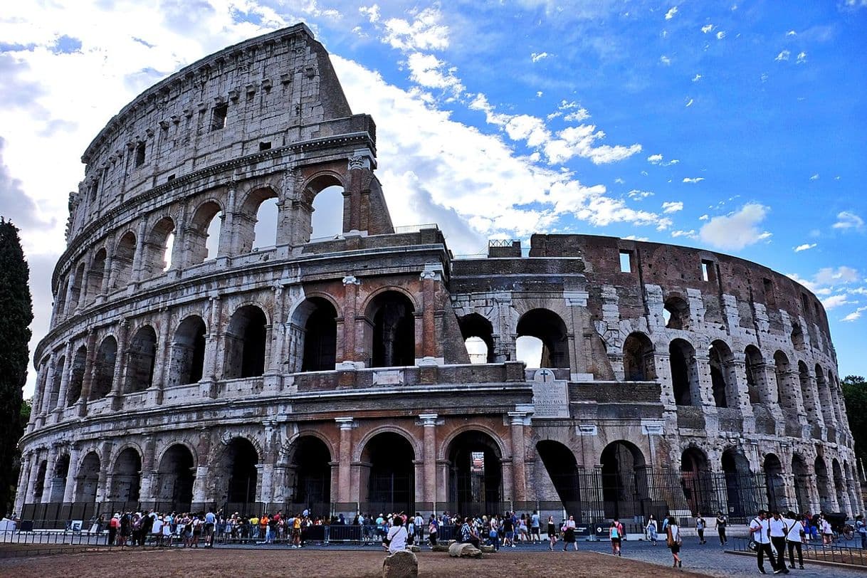 Moda Colosseo - Wikipedia