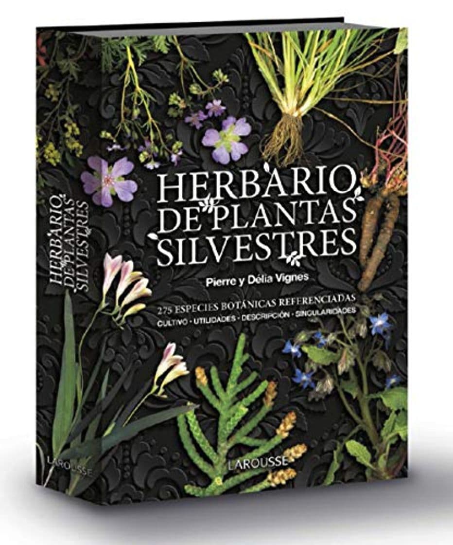 Libro Herbario de plantas silvestres