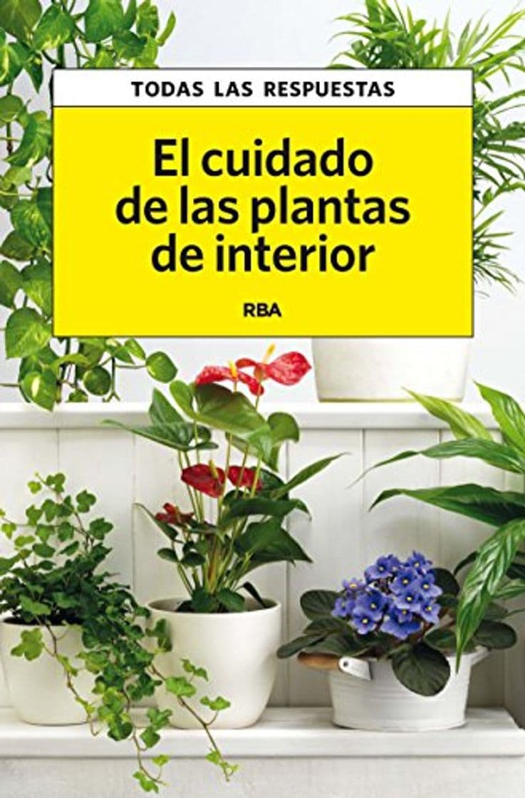 Libro El cuidado de las plantas de interior