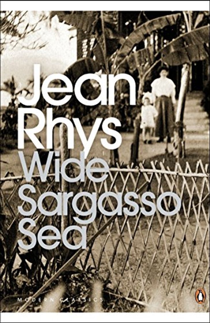 Book Wide Sargasso Sea: Student Edition