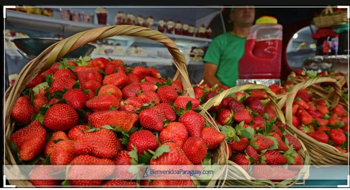 Moda EXPO FRUTILLA (AREGUÁ)