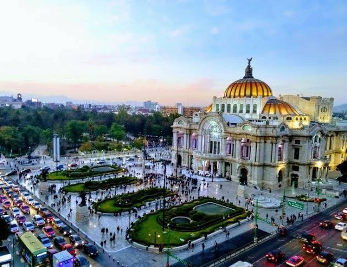 Lugar Palacio de Bellas Artes