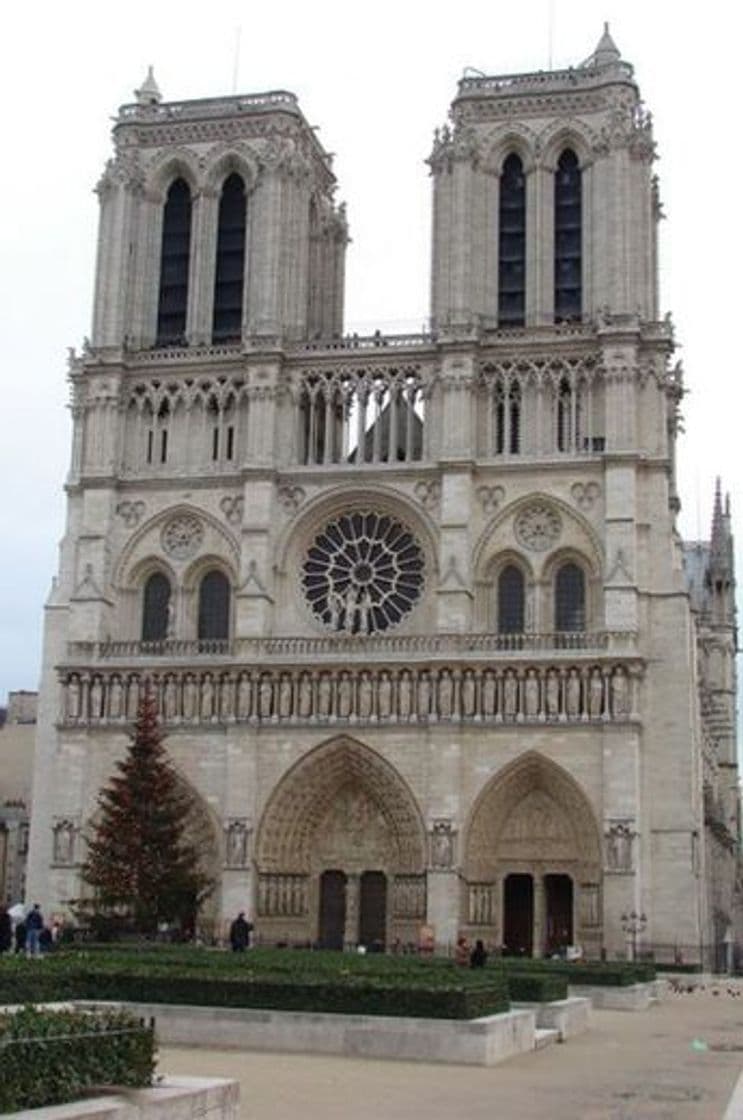 Lugar Catedral de Notre Dame