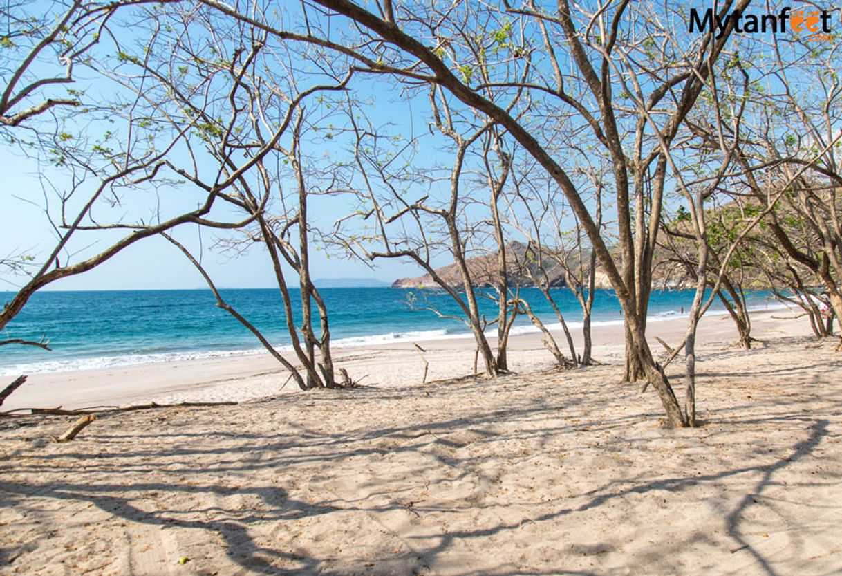 Lugar Playa Mina