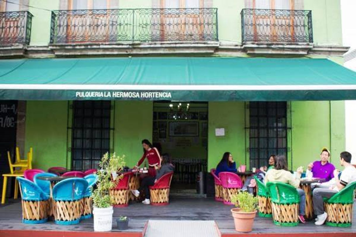 Restaurants Pulqueria La Hermosa Hortensia